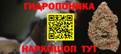 индика Бузулук
