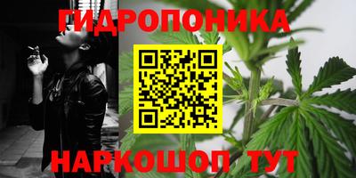 индика Бузулук