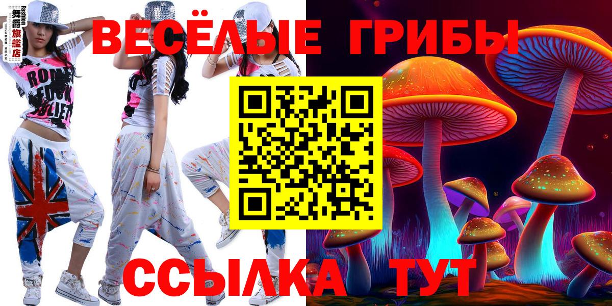 Псилоцибиновые грибы прущие грибы Краснотурьинск