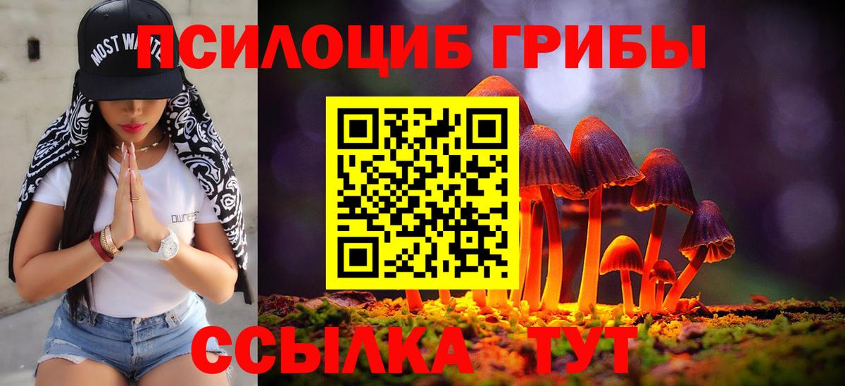 Галлюциногенные грибы прущие грибы  Галлюциногенные грибы прущие грибы  Вход с VPN  Краснотурьинск 